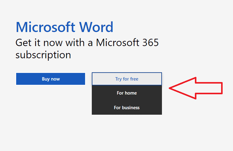how-to-download-ms-word-365
