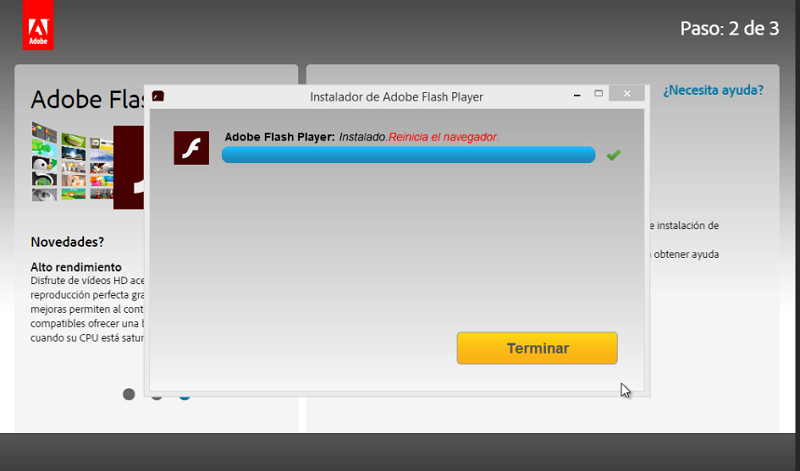 flash player para internet explorer