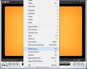 gom media player features