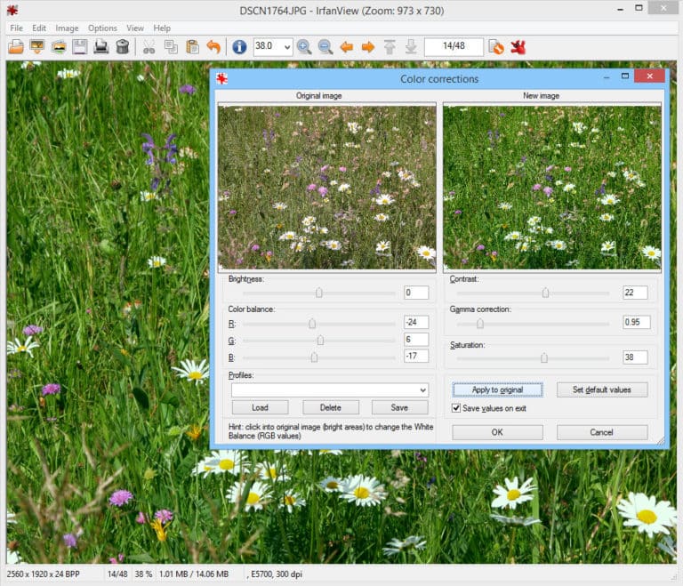 IrfanView Portable download the last version for windows
