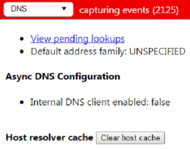 Chrome-dns-cache-1.3