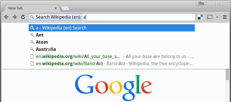 search-google-type-url-1.6